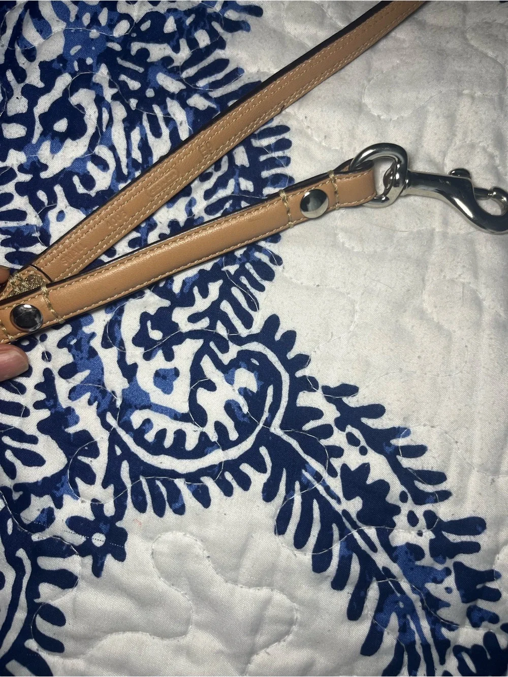Coach premium leash
